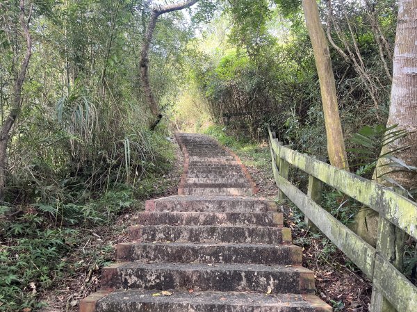 [皮皮獅Hike客任務-10/10] 2024_0831 十二寮古道2586611