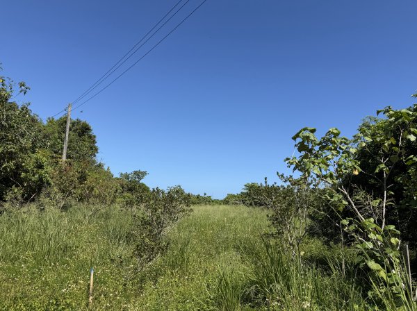 2025_1018 花蓮山步道2921271