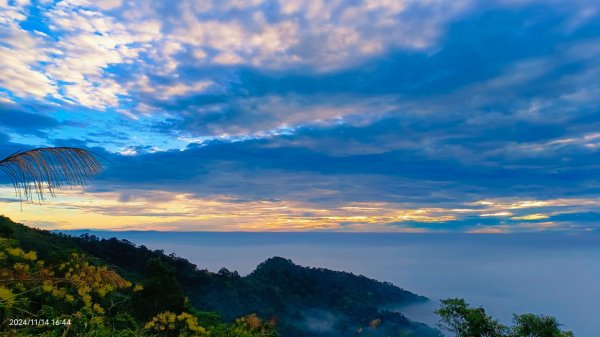 苗栗馬那邦/天然湖&薑蔴園 #星空月圓 #琉璃光雲海 #雲瀑 11/142647510