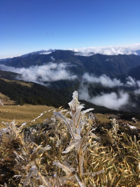 合歡東峰下雪啦！832544