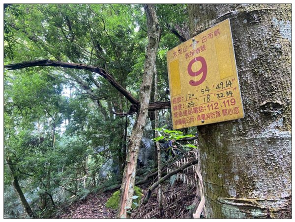 大克山 南稜線A上B下 (卓蘭最高峰)2825474