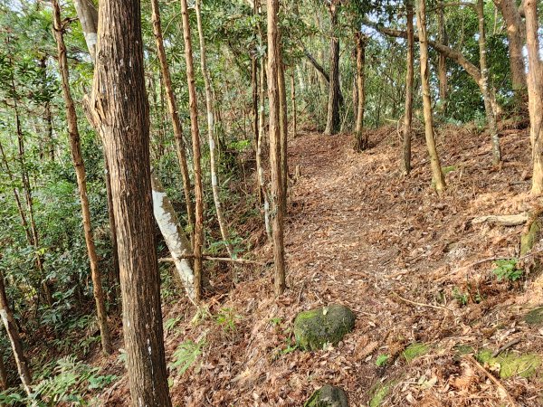 20240203番婆石山與橫屏山東峰2450403