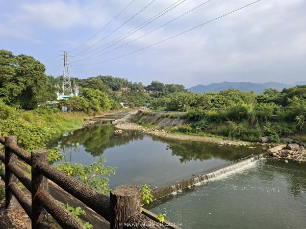 《南投》河岸賞鳥｜竹山下坪生態步道O繞202610173136785