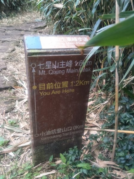 臺北大縱走第二段：二子坪至小油坑1781895