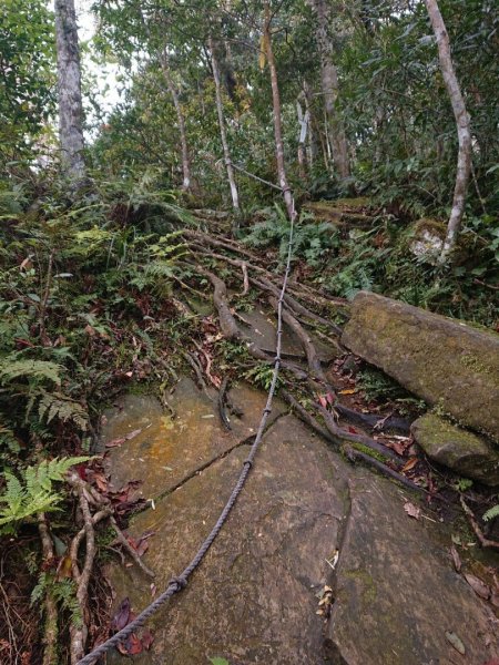 那結山（嘎色鬧部落線）893459