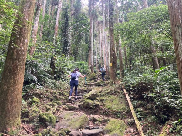 五指山登山步道2293187