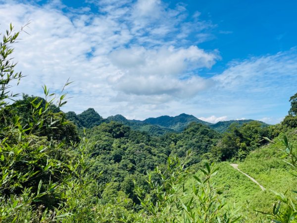 1140618鳴鳳古道｜錫隘-雲洞宮2815367