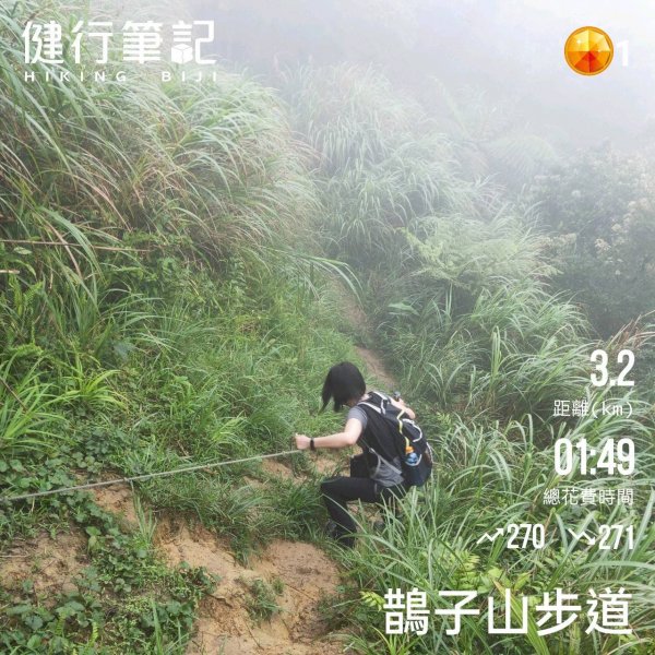 小百岳(84)-鵲子山-202306042178198