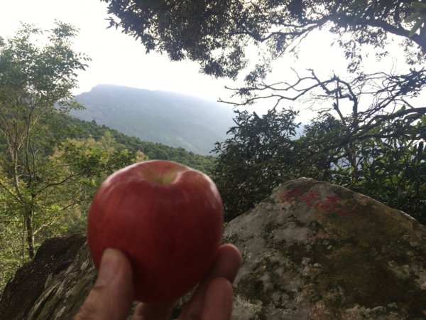 南庄龍❤️、向天湖山、光天高山、大龍山、小東河山2333963