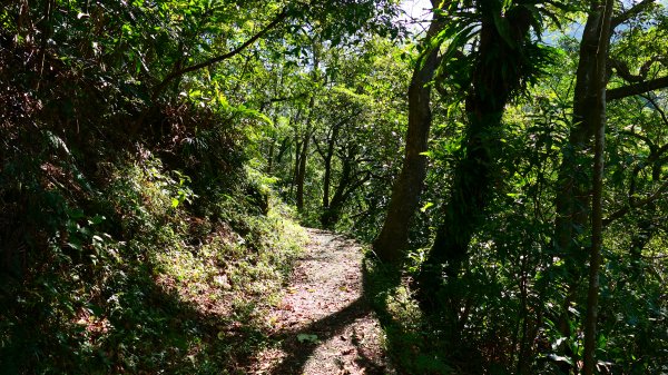 大尖山瀑布2932157