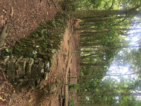 分遣所、斜壁2774330