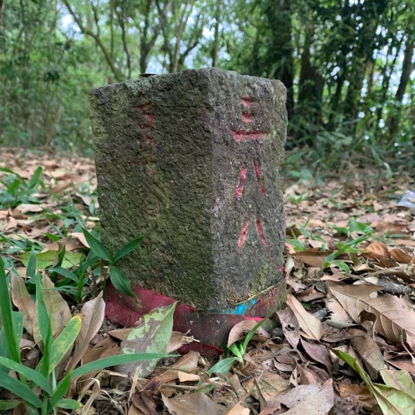 20250419屏東佳平山-虻彈山2767931