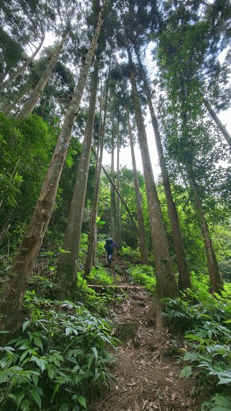 向天湖山(小百岳032 H1220M)2021-10-021478002