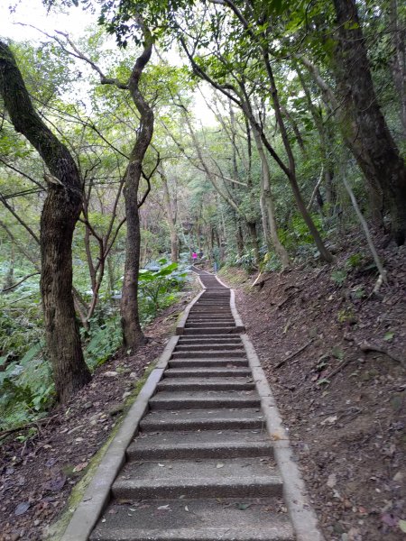 虎頭山-虎嶺迎風步道775370