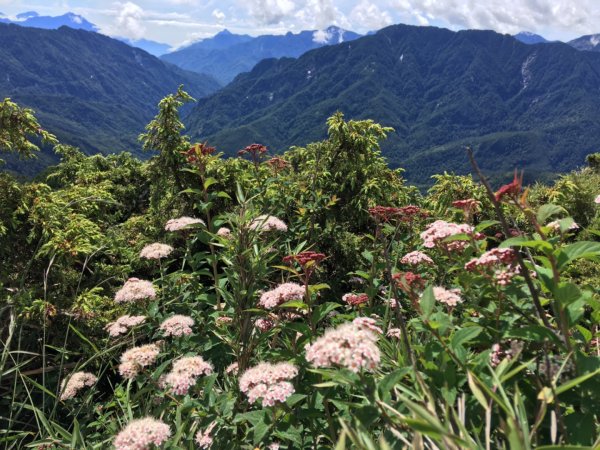 1090702合歡山北峰1037118