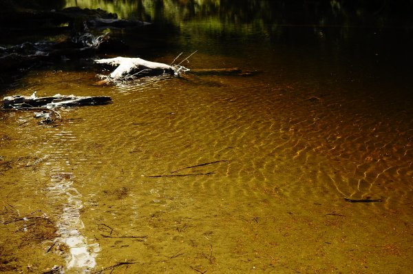 武法奈尾山天巒池872521