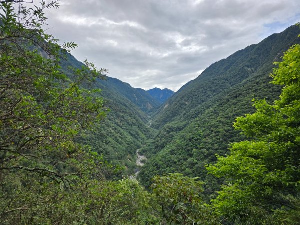 觀高山屋／龍貓公車／八通關山／八通關山西峰2927371