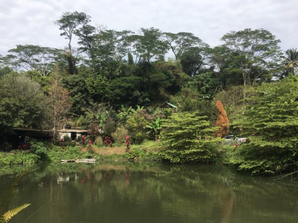 中興林場後山（鑰匙🔑認領2700426