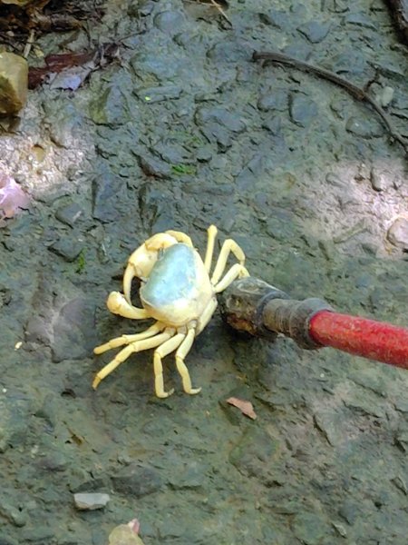 西阿里關山2823111