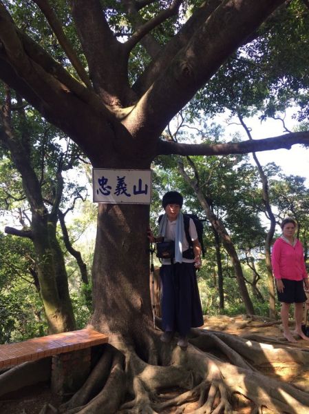 環大台北天際線第8段（迴龍-鶯歌）396881