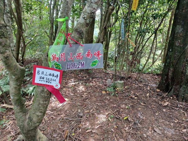 20240627冷飯坑山-楓子林山-烏月山-烏月山西南峰-麻竹寮山-向天湖古道-深坑老街