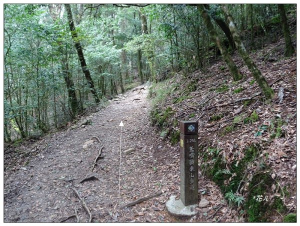 稍來山步道(小百岳)1619816