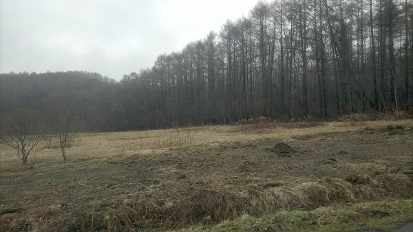 北海道昭和新山2761798