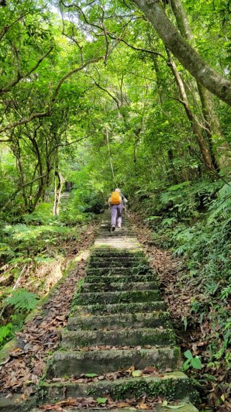 簡厝-鵝尾山-內厝-202406092600736