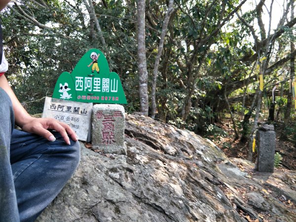 小百岳：西阿里關山1325345