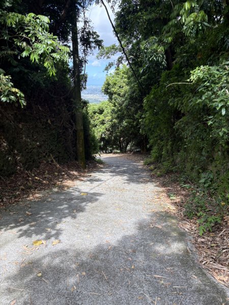 20250907高雄大崗山步道2914748