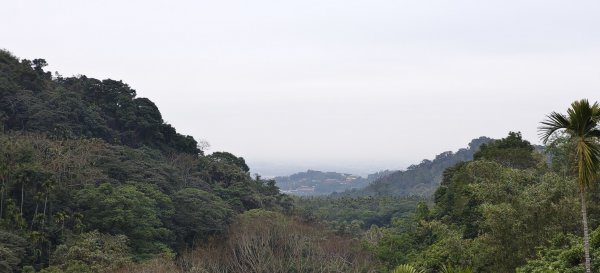 2025/02/08_苦苓腳古道2709252