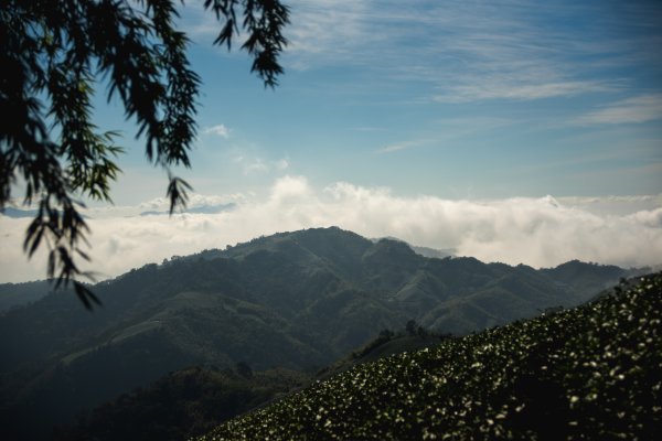 雲嘉七連峰 2025年12月2968919