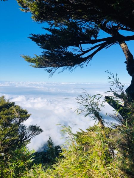 我的第一座百岳⋯北大武單攻502804