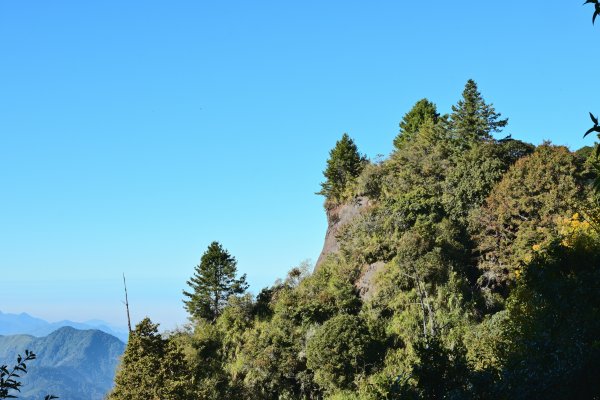 大塔山步道(早晨0630起登)1927502