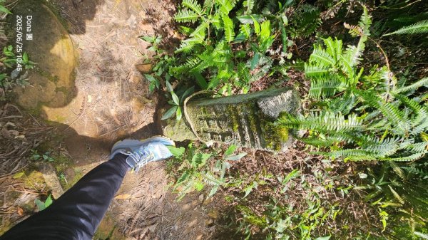 大溪大九芎步道上小百岳溪洲山(H577m)2844312