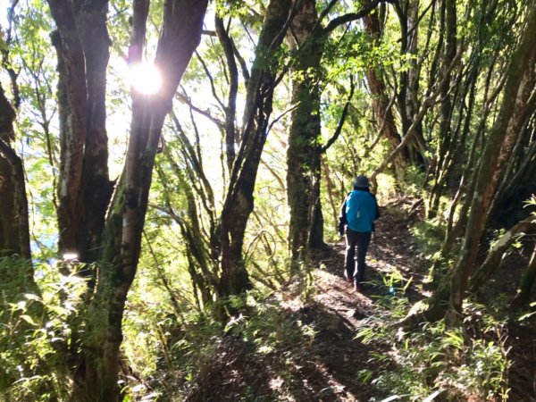 自忠上東水山連走特富野古道1244563