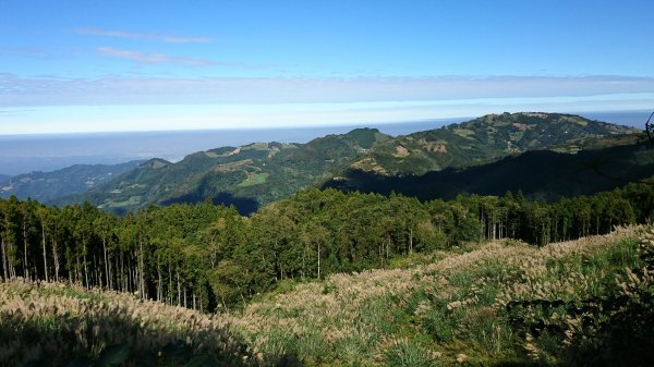 羅山林道北線趴趴走417937