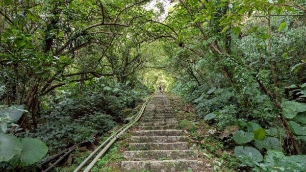 114.10.11石荀尖之旅2912044