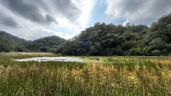 崙埤池破礑溪2373346