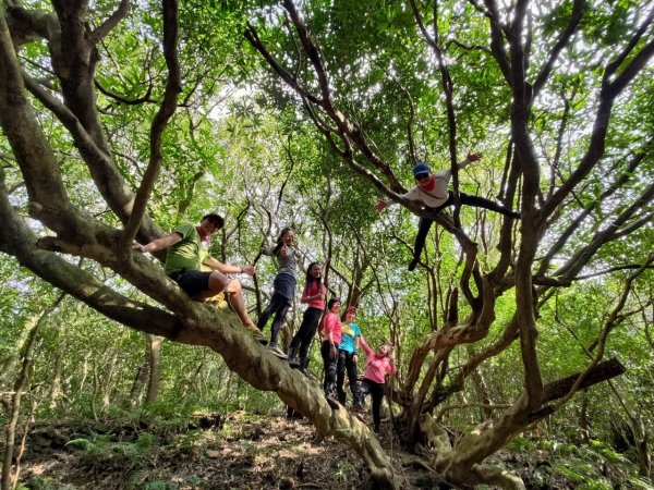 東勢大崙、東勢坑山、觀音湖山O走2986350