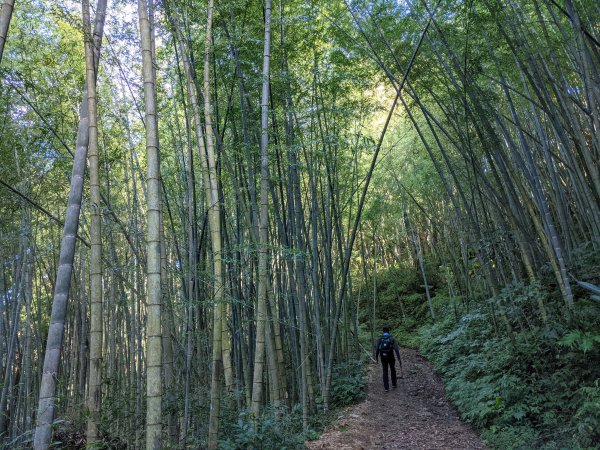 志繼山東眼山拉卡山1491071