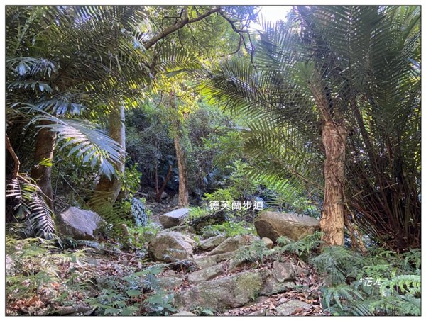 北松鶴山、德芙蘭步道 (台中 和平)2922130