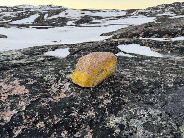 [紐約馬之行-40] 2025_1107 黃線步道-前2950531