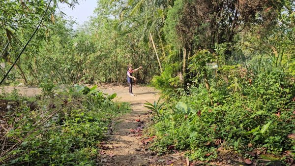 鳳山縱走五連峰3026912