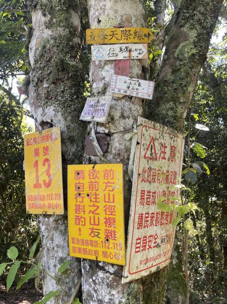 鵝公髻山-第一登山口來回-202408112573495