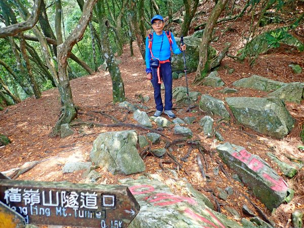 橫嶺山連走鳶嘴山2019/4/30575796