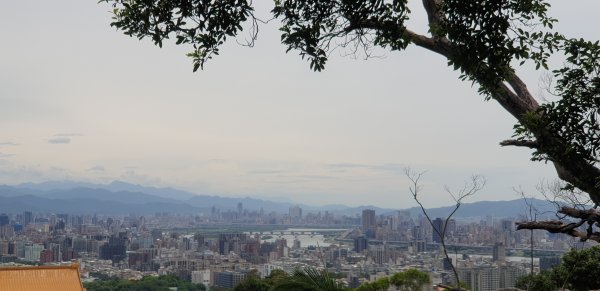 劍潭山小百岳1772418
