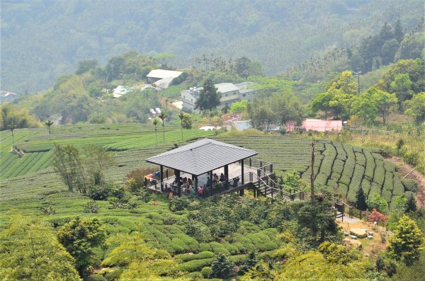 後棟仔山 & 雲嘉大尖山1378300