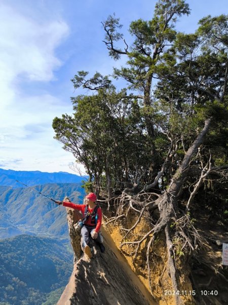 內鳥嘴山（山毛櫸、北得拉曼神木2648188