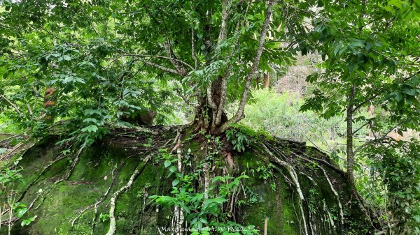 《雲林》望好望角｜石壁山嘉南雲峰步道(中側登山口）202506072805446